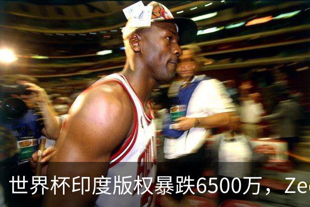 世界杯印度版权暴跌6500万，Zee娱乐急于接盘