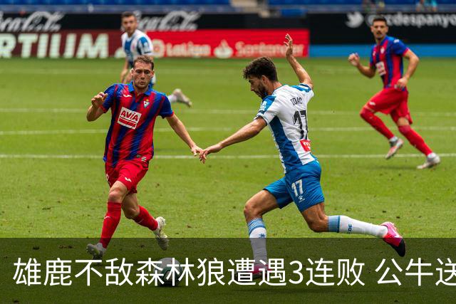 雄鹿不敌森林狼遭遇3连败 公牛送灰熊7连败